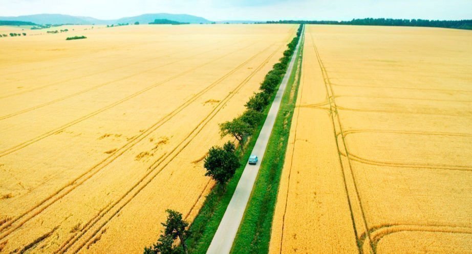 Tschick foto